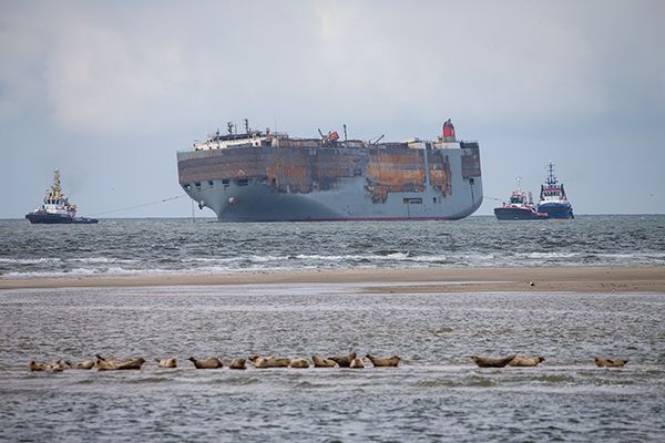 Wachdienst Borkum